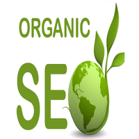 Organic SEO