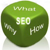 SEO Consulting